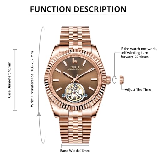 Image of BUREI Men's Classic Luxury Watch Stainless Steel Waterproof Machine Watch Fashion Double Watches Date Sapphire Crystal