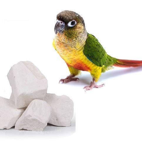 Pmw- Natural Mineral for Birds - Bird Food and Supplements Calcium Mineral & Anti Oxidants - 100 Grams (B07XBH583P) Amazon Price History, Amazon Price Tracker