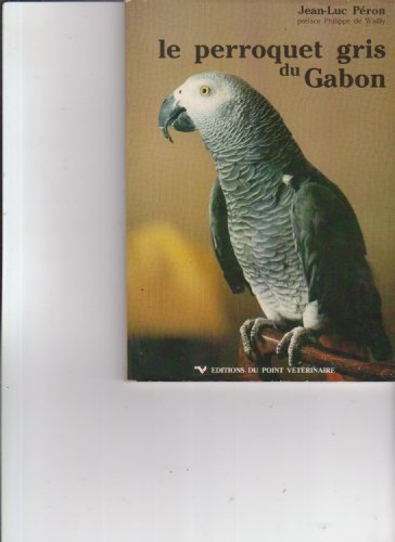Le perroquet gris du gabon 070996