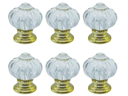 NEYORIKA omu  E hAmu ^Xo ˒IhA Lrlbg  hA  ܂   6