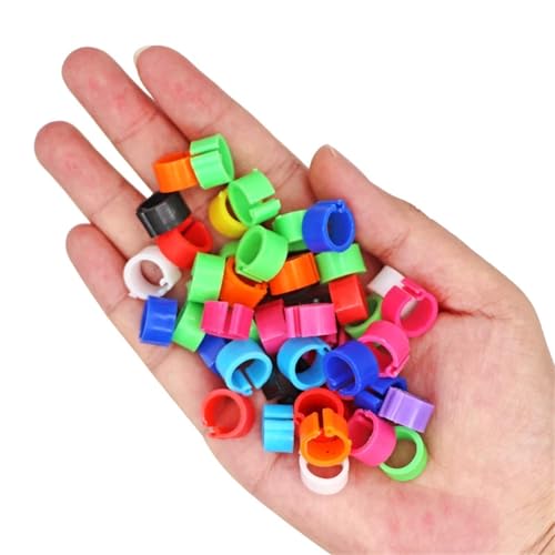 Anillos para las piernas de pollo para controlar la edad de aves y codornices 4