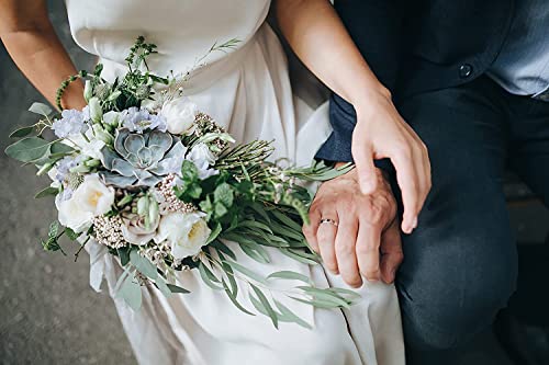 Shop Succulents | Unique Collection | Assortment Of Hand Selected, Fully Rooted Live Indoor Succulent Plants, 20-Pack C #TOP2