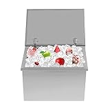 Drop in Ice Chest,20''L x 14''W x 13''H Stainless Steel Cooler with Hinged,42.2Qt Commercial Ice Bin Drain-Pipe and Drain Plug Included for Cold Wine Beer