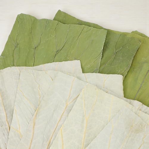 100 PCS Dried Lotus Leaves Food Wrap for Cooking/Decoration, Natural Whole Sheets Square Cutting, Organic Wrapper for Sticky Rice Sushi Dim Sum Lo Mai Gai, Party Making and Serving Plates (8x8 inch) by KH866 - Used condition - Image 3