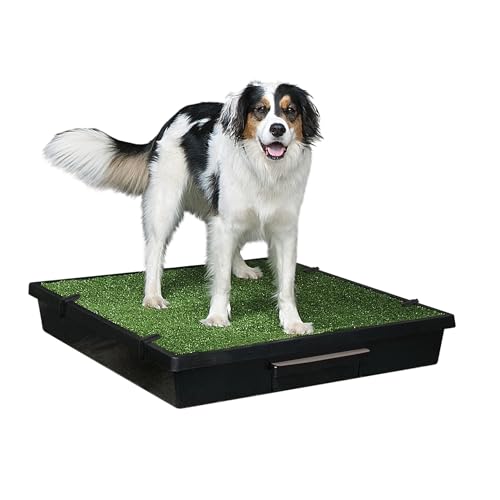 PetSafe Pet Loo Indoor Pet Toilet, Portable Dog Potty Station, Grass Pad Tray of Synthetic Grass Mat, Easy to Clean, Large