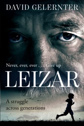 Leizar view 2