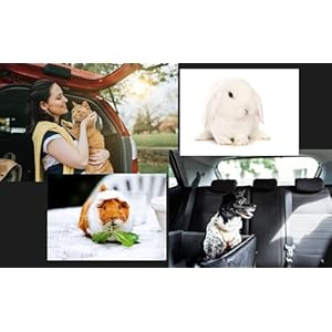   Generic-AAARS-Puppy-Training-Pads-Cats-Puppy-Essentials-6-Layers-Leak-Proof-Pee-Pads-for-Dogs-Cats-Essential-for-Travel-crates-or-Auto-Back-Seat-Small-White-and-Blue