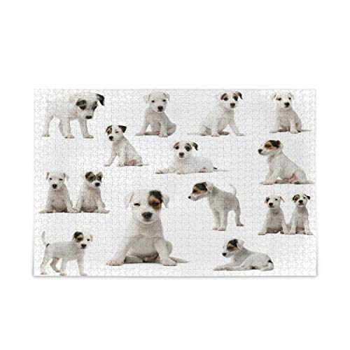 MAKIKU 1000s[X WO\[pY   50*75cm