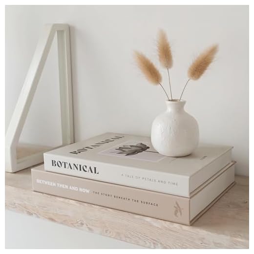 Beautiful Decorative Books - Set of 2 Boxes Enhance Your Coffee Table, Bookshelf or Mantel Decor - Aesthetic Fake/Faux Books for Modern Home Decoration, Photo Storage and as a Keepsake Box