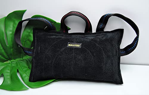 BULLYZEI Beißkissen groß, Leder, 3 Schlaufen, 30 x 18cm