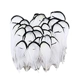  URFEDA Plumas de Faisán, 100 plumas naturales de Faisan, plumas de gallo, artesanales, plumas, bricolaje, manualidades, manualidades, manualidades, decoración, disfraces