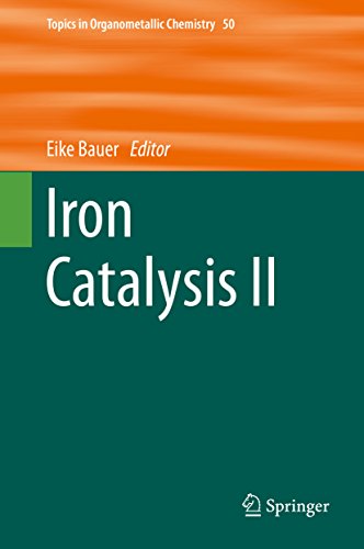 Iron Catalysis II (Topics in Organometallic Chemistry Book 50)