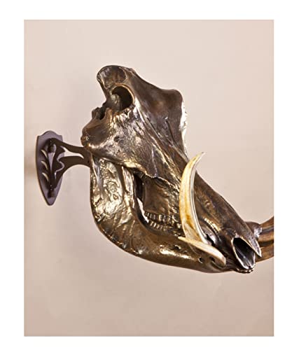 Skull Hooker Little Hooker European Trophy Mount - Perfect Kit For Hanging And Mounting Taxidermy Deer Antlers And Other Skulls For Display – Robust Brown #TOP3