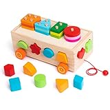 LyFu Montessori Toys for 1 2 3 Year Old,Shape Sorter Toys for Toddlers 1-3 Year Old,Wooden Sorting...