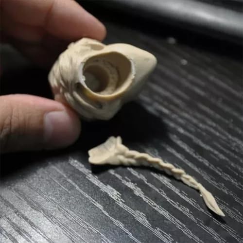 Tête miniature européenne 1/6 pour personnaliser votre figurine