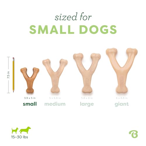 Image of BeneBone Wishbone Chew Toy for Dogs (Real Chicken, Small)
