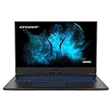 MEDION ERAZER Beast X10 43,9 cm (17,3 Zoll 144Hz)...