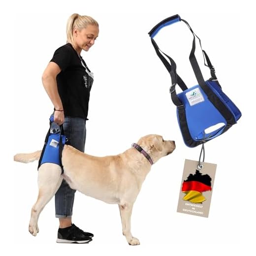 Trixie 19408 Gehhilfe, L–XL: 75–85 cm, schwarz 7 Nature Pet © - Tragehilfe Hund hinten - Ideal für ältere, kranke oder operierte Hunde - Diese Treppenhilfe für Hunde ist optimal auf Ihre Körpergröße einstellbar - Hunde Tragegeschirr aus Deutschland (M)