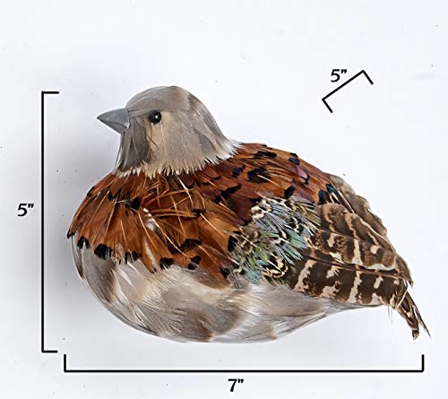 Worth Imports 1688 Feathered Partridge