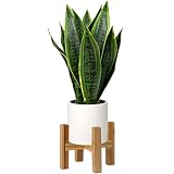 Briful Fake Snake Plant 16' Faux Potted Plant Artificial Snake Plant with White Ceramic Pot Sansevieria Plant Perfect for House Modern Living Room Office Housewarming Gift Indoor Decor