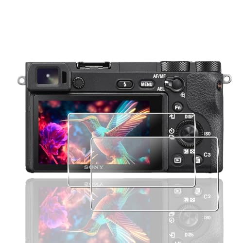 �y2���Z�b�g�z �p SONY ��6600 / ��6500 / ��6300 / ��6000 / ��5100 �ی�t�B���� �K���X�t�B���� 2�� SONY ��6600 / ��6500 / ��6300 / ��6000 / ��5100�t�B���� �y ���{���Ɏq�f�� 