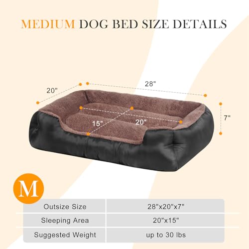 Dog Beds for Small Dogs, Small Pet Beds with Sides, Rectangle Dog Bed with Nonskid Bottom - Image 3
