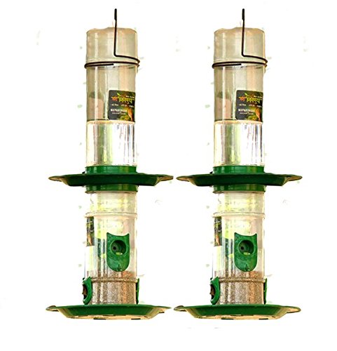 Amijivdaya Medium Double Decker (2 Piece) (B07FXV4Q41) Amazon Price History, Amazon Price Tracker