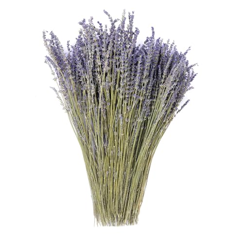 Dried Lavender Flowers Bundles 100% Natural Real Dry Flower for Home Decorations,Home Fragrance 350+ Stems