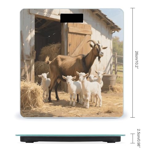Báscula digital de baño vidrio templado 400 lb miniatura 2