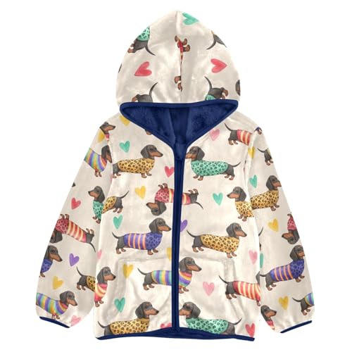 CHIFIGNO Cute Dachshund Dogs Poses Toddler Winter Jacket, Boys Hooded Jacket Warm for Fall Winter Spring 3T