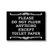 Rosenkranz & Co. Please Do Not Flush Anything Except Toilet Paper Sign (Black)