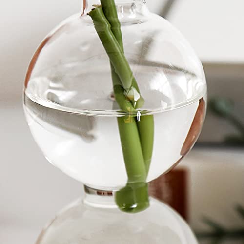 Vase hydroponique transparent de 24cm pour une décoration de salon moderne et épurée - 5