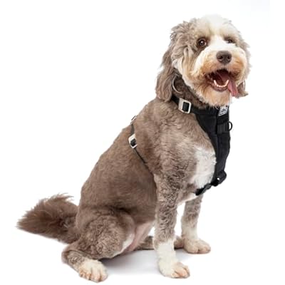 Kurgo Enhanced Strength Tru-Fit Dog Car Harness - Pet Travel Safety Harness - Crash Test Certified Fit - Five Point Adjustment - Secure Buckle - Padded Chest - Black - X-Large