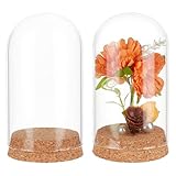 Photo Gallery benecreat 2 pz. espositore in vetro a campana, campana di vetro da 7x13cm con base in sughero, cupola per esposizione di fiori, impianto, miniatura e artigianato, id: 6.6cm Photo Gallery benecreat 2 pz. espositore in vetro a campana, campana di vetro da 7x13cm con base in sughero, cupola per esposizione di fiori, impianto, miniatura e artigianato, id: 6.6cm