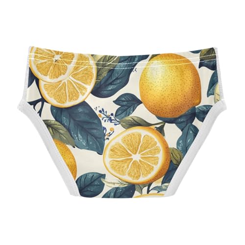 KLL Wood Lemons Toddler Boys' Comfort Underwear Cute Children Undies2
