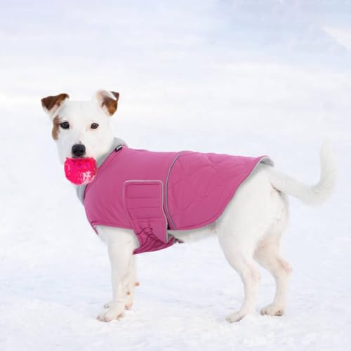 MHaustlie Warmer Hundemantel, kleine Hundewinterjacke, wasserdichte Winterbekleidung für Hunde, französische Bulldogge Mantel, Hundeschneejacke, Bichon, West Highland Terrier(Rosa, S)