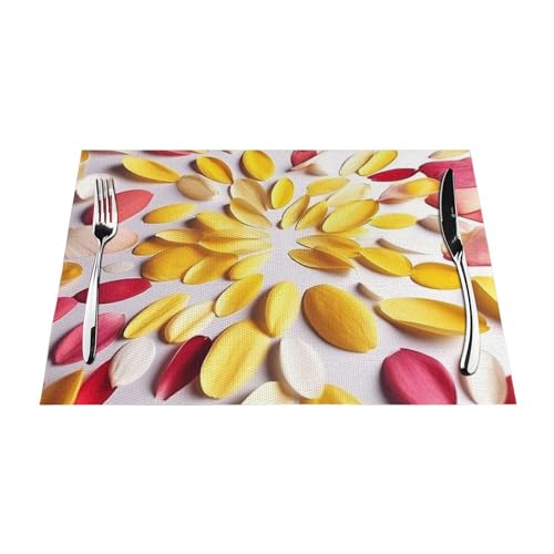 Lot de 6 sets de table lavables PVC tissé résistant chaleur - 5