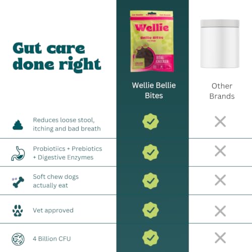 Image of Wellie Bellie Bites Probiotic Dog Treats | Real Chicken Flavor | Prebiotics & Probiotics for Gut Health & Immune Support | 4 Billion CFU | Helps Reduce Gas, Bloating & Bad Breath | 100g (Pack of 1)