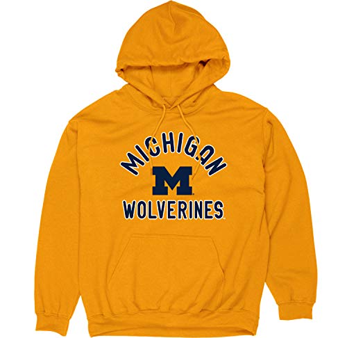 Blue 84 Men's Michigan Wolverines Hoodie Line Up Secondary Color, Michigan Wolverines Gold, Medium - Image 2