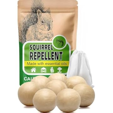 best bird feeders to keep squirrels out