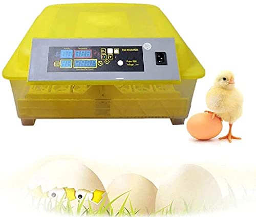 Automatische ei-incubator, 48 eieren geleid hoog-efficiëntie automatische temperatuurregeling, automatische ventilatie… - Afbeelding 3