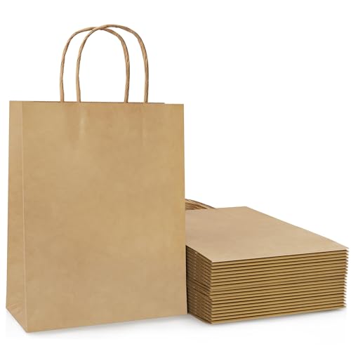 20 Pcs Brown Paper Party Bags with Twist Handles