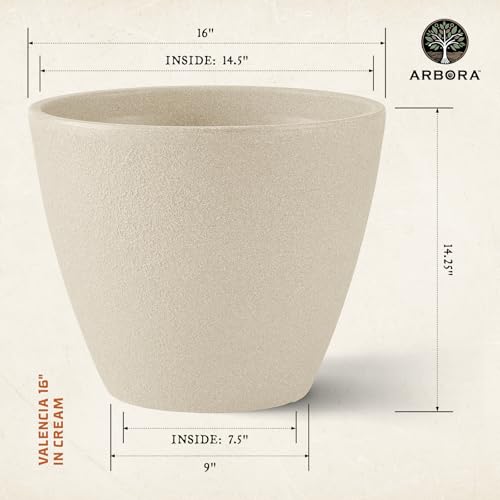 ARBORA 16\" Valencia Polyresin Indoor and Outdoor Planter with Classic Cream Finish - Durable, Weatherproof, Lightweight, Large Plant Pot for Patio, Garden, Deck, Entryway