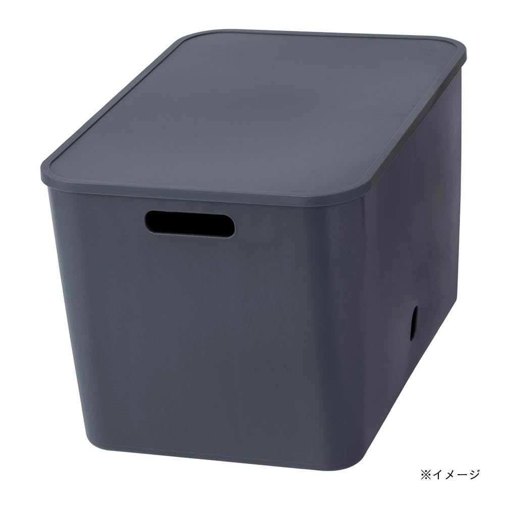 Amazon｜カインズ(CAINZ) インテリアソフトケース 幅38cm 奥行26cm 高
