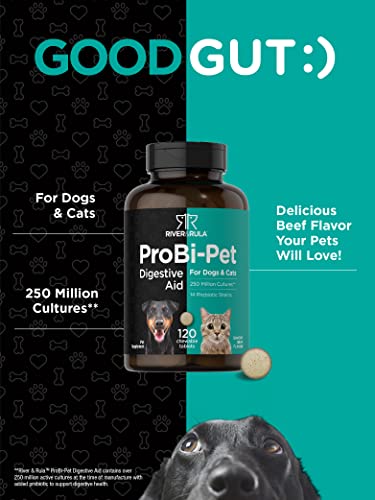 Probiotics For Dogs & Cats | 120 Chewable Tablets | Digestive Aid | With 14 Probiotic Strains | Savory Beef Flavored Pet Supplement #TOP2