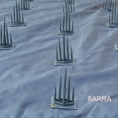 Image of SARRA Permium Quality Car Protection Covers from Dog /Monkey Sitting On The Top of The for Car Or On Bonnet (Pack of 1)(Big)