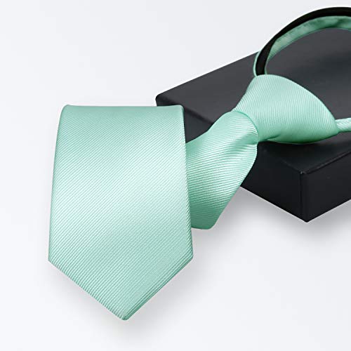 Alizeal Boys Solid Color Pre-Tied 2.4'' Zipper Skinny Necktie, Light Mint #TOP1