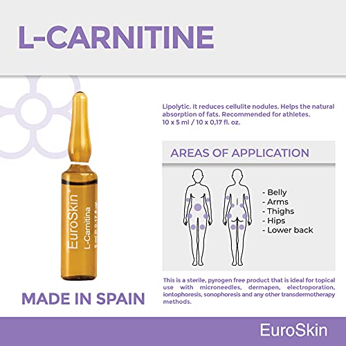 l carnitina para celulitis L-Carnitine: Testosterone, Boost Energy & Performance 2025 main image 0