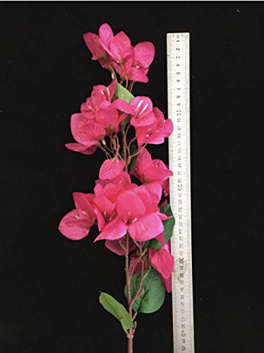 Jiumengya 5Pcs Bougainvillea Glabra Artificial Floor Mounted Fake Bougainvillea Spectabilis Flower 31.5" For Wedding Centerpieces Decorative Flowers (Hot Pink) #TOP2