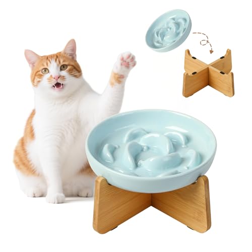 Hh~ L H  t[h{E  M ^ ybg GT {E a Lp M f߂y N aM  X[tB[_[ H׉߂h~ | ̂H X^ht hrV[t oii` PFv[g d